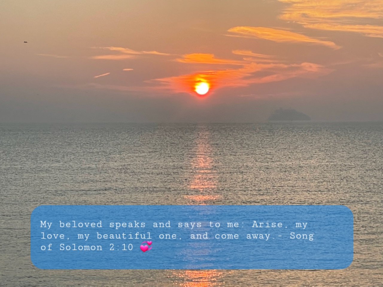 Hello, Summer! | June 2025